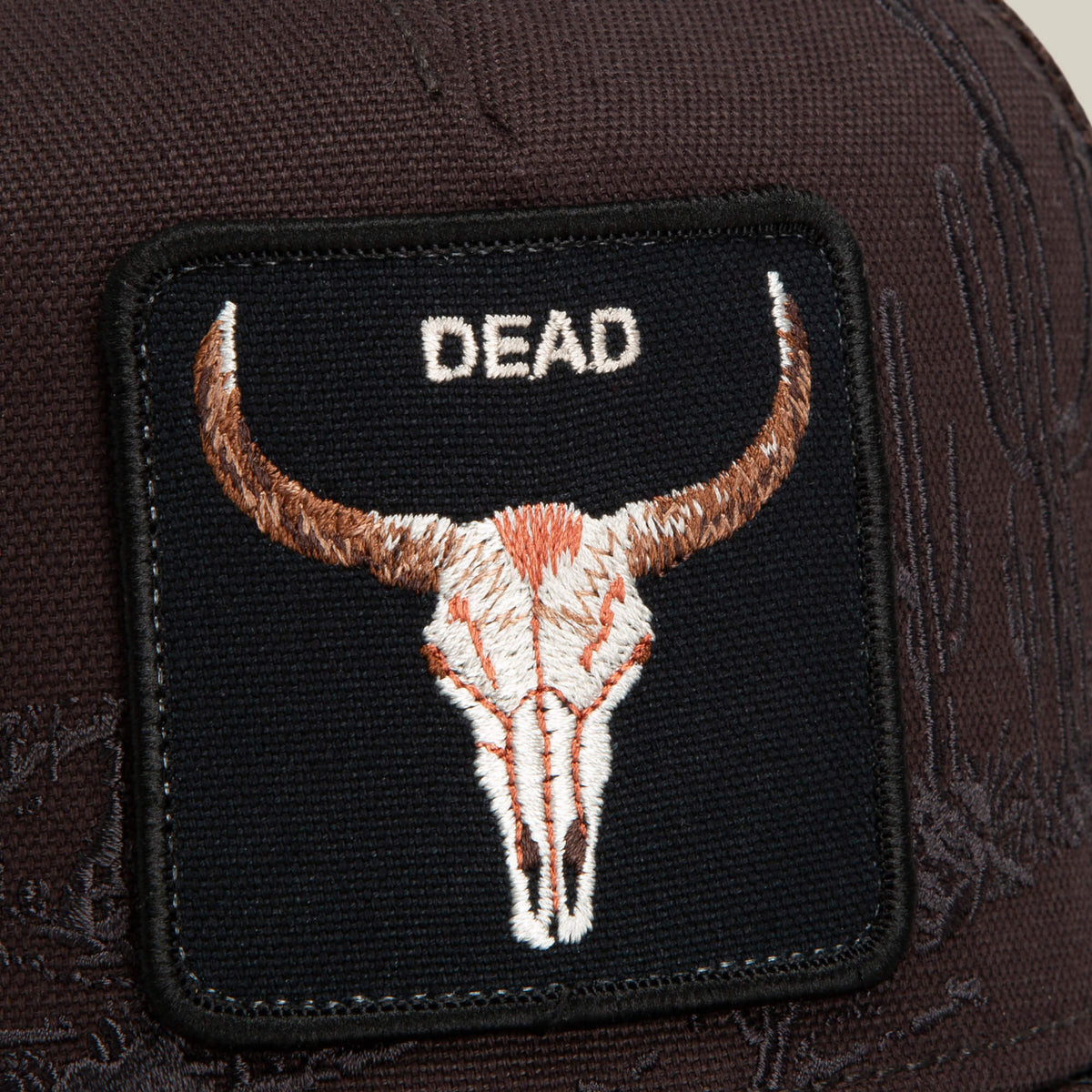 Goorin Bros. Badlands Skull